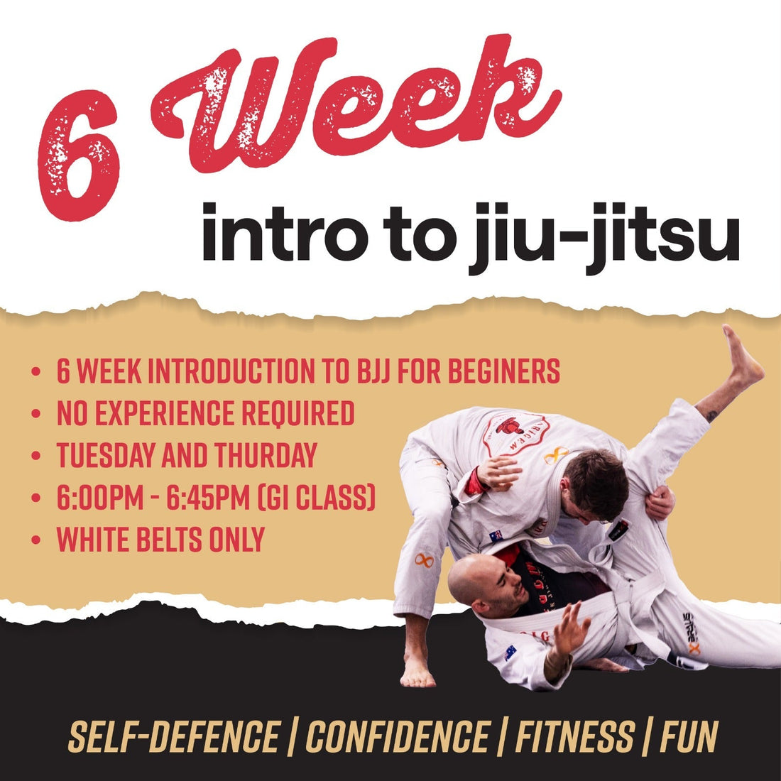 Beginner Jiu Jitsu Classes in Bondi Junction - Start Your 6-Week BJJ Journey